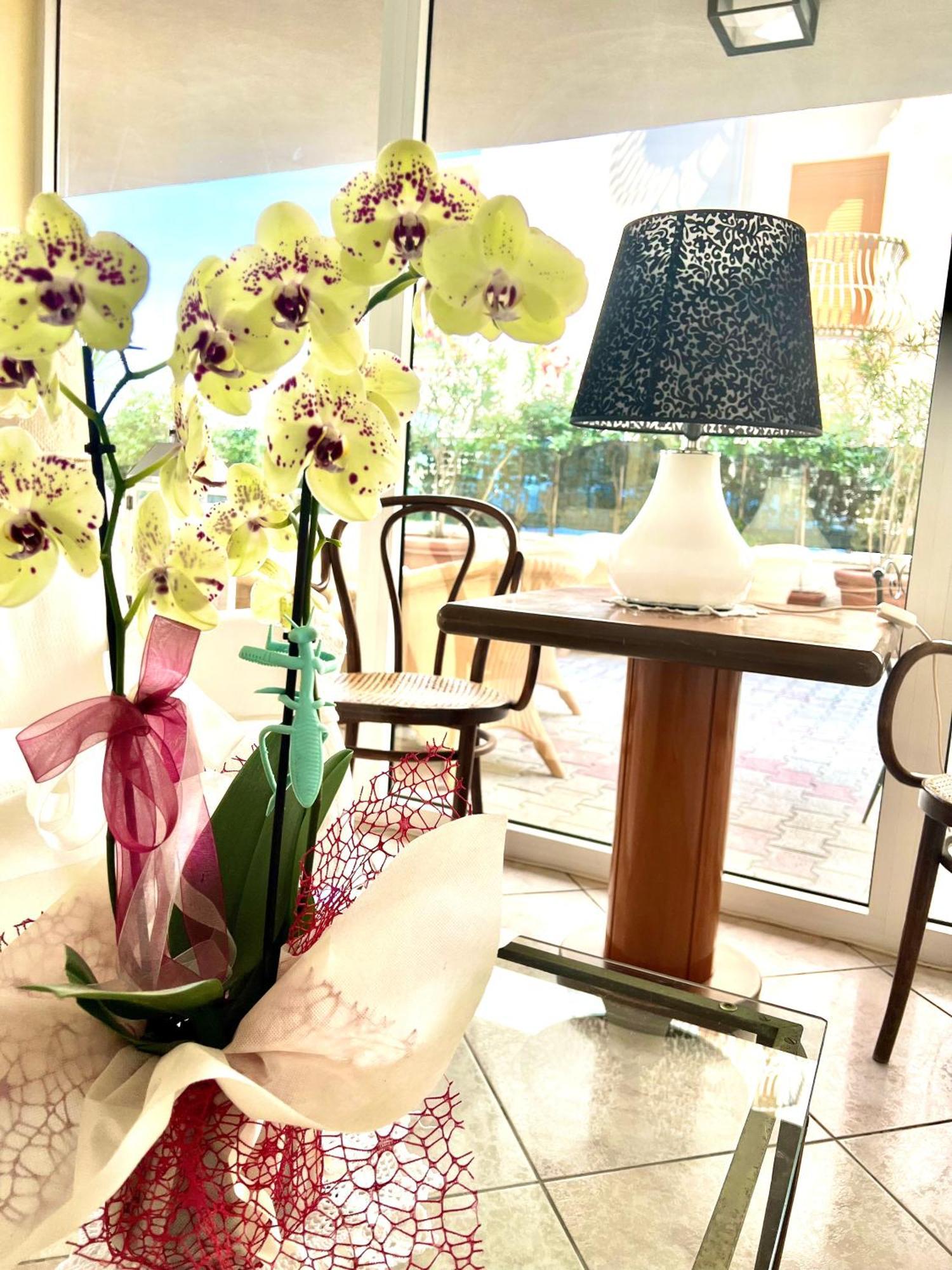 Hotel B&B Montecarlo Milano Marittima Eksteriør billede